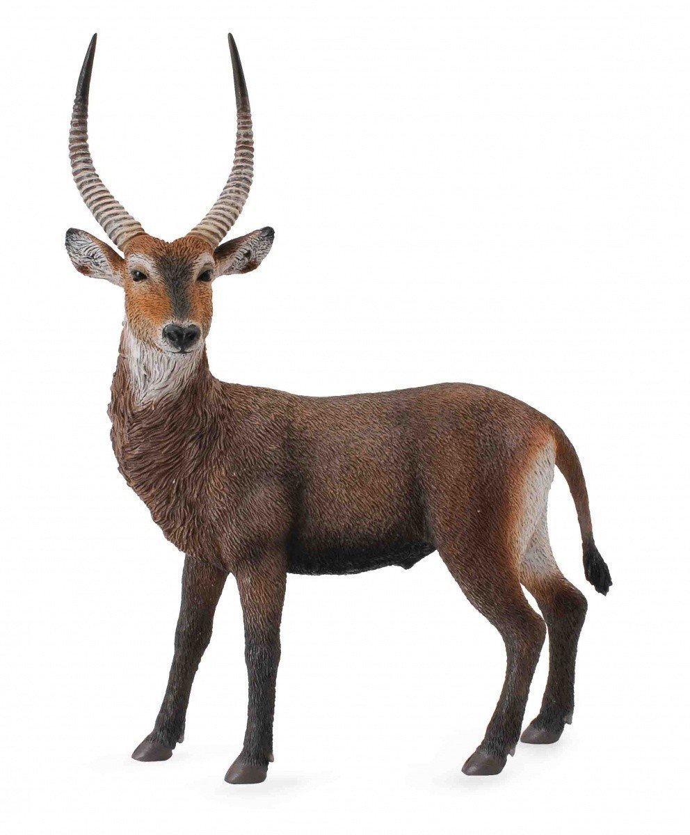 CollectA - Waterbuck image