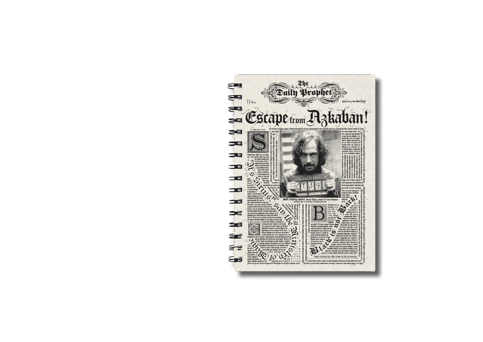 Harry Potter: Lenticular Notebook image