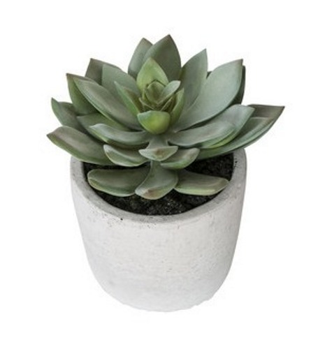 General Eclectic Artificial Plant - Small Echeveria image