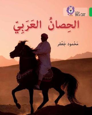 The Arabian Horse by Mahmoud Gaafar image