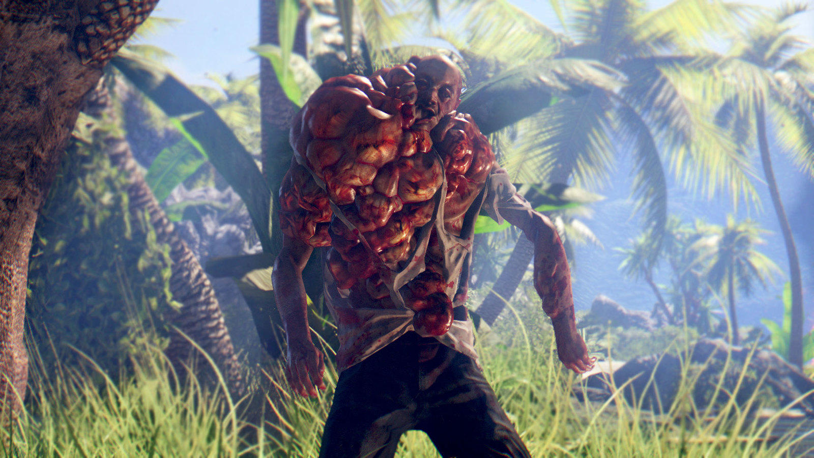 Dead Island Definitive Collection for PS4 image