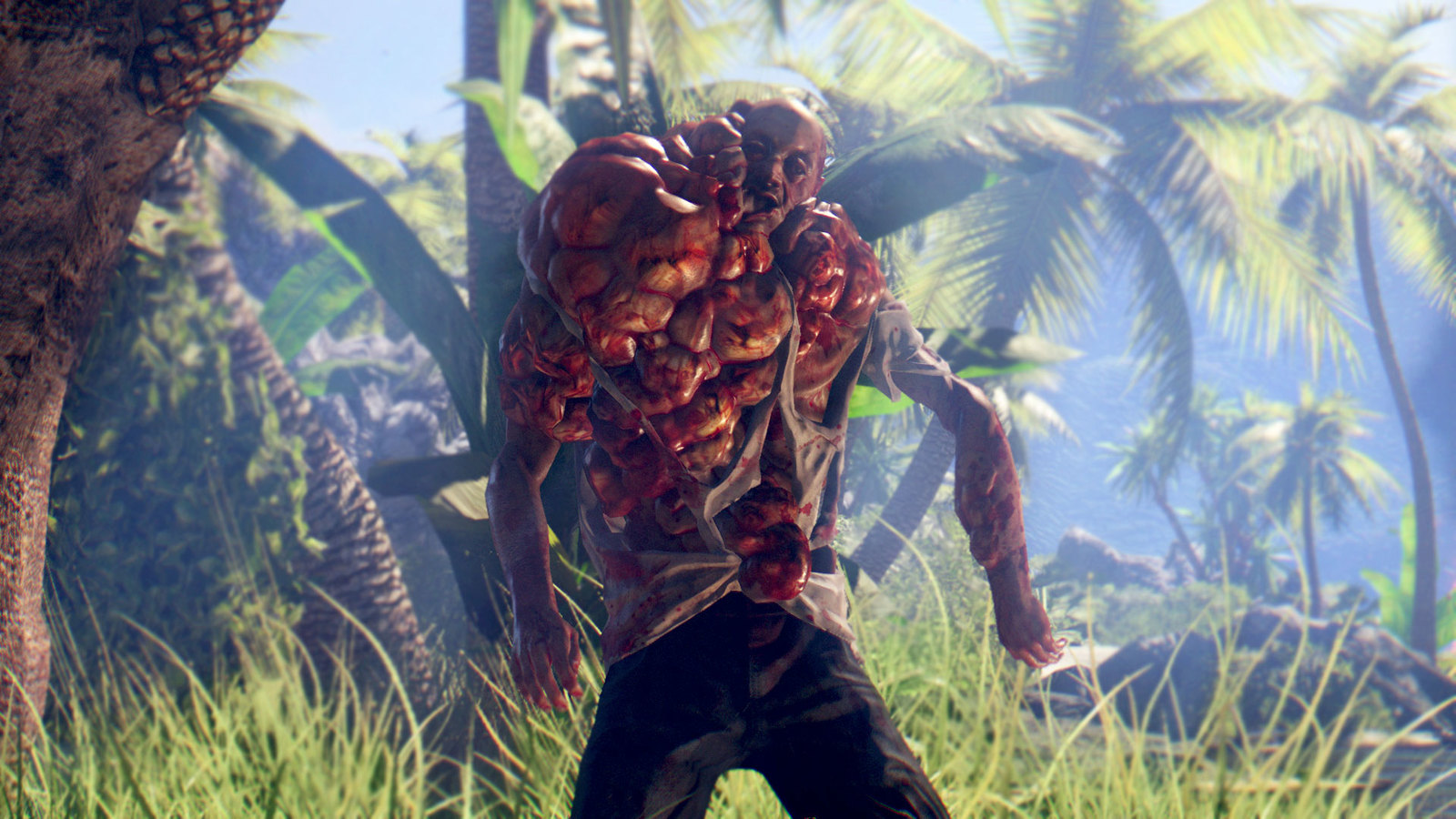 Dead Island Definitive Collection image