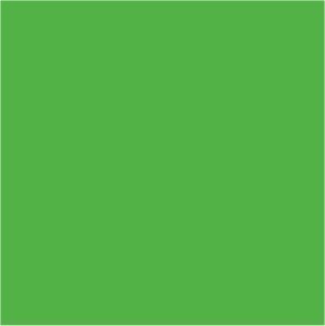 Citadel Layer: Moot Green image