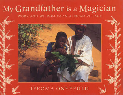 My Grandfather is a Magician by Ifeoma Onyefulu image