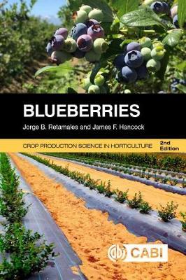 Blueberries by Jorge Retamales image
