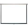 Sony WM100PJS 100-inch Projector Screen Sony WM100PJS 100-inch Projector Screen