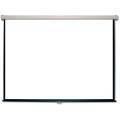 Sony WM100PJS 100-inch Projector Screen