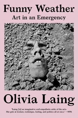 Funny Weather by Olivia Laing image