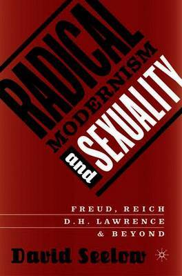 Radical Modernism and Sexuality by David Seelow image