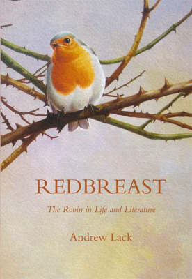 Redbreast by Andrew Lack image