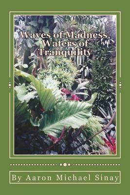 Waves of Madness, Waters of Tranquility by Aaron, Michael Sinay image