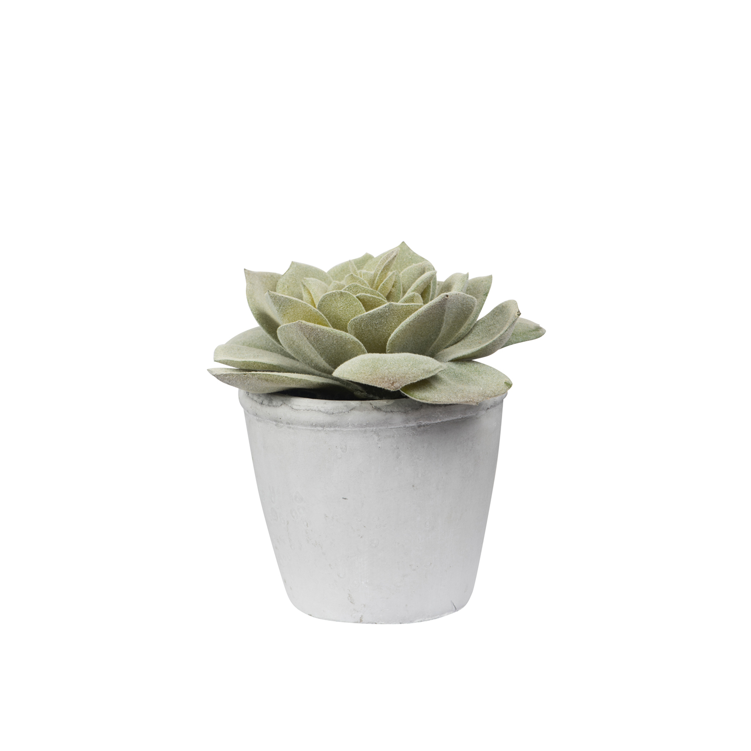 General Eclectic: Artificial Plant - Echeveria Succulent