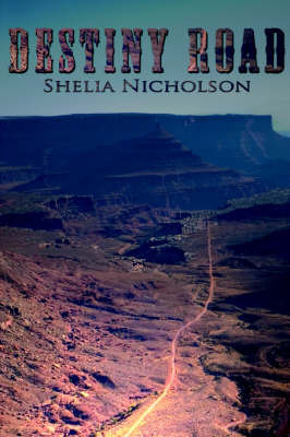 Destiny Road by Shelia Nicholson image