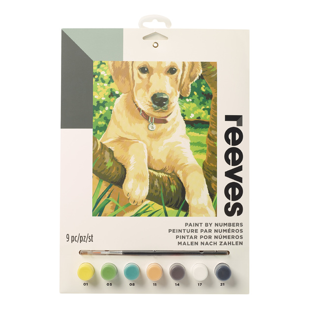 Buy Reeves Paint by Numbers Labrador (Medium) at Mighty Ape NZ