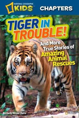National Geographic Kids Chapters: Tiger in Trouble! by Kelly Milner Halls image
