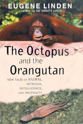 The Octopus and the Orangutan: New Tales of Animal Intrigue, Intelligence, and Ingenuity on Paperback by Eugene Linden