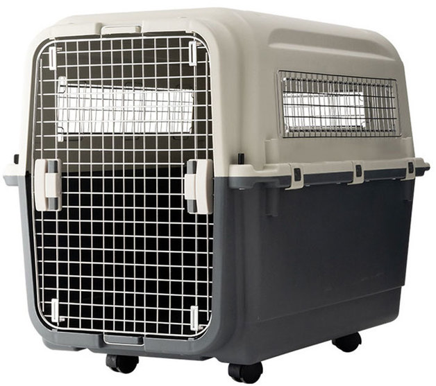 Buy HardSided Travel Pet Carrier with Wheels at Mighty Ape NZ