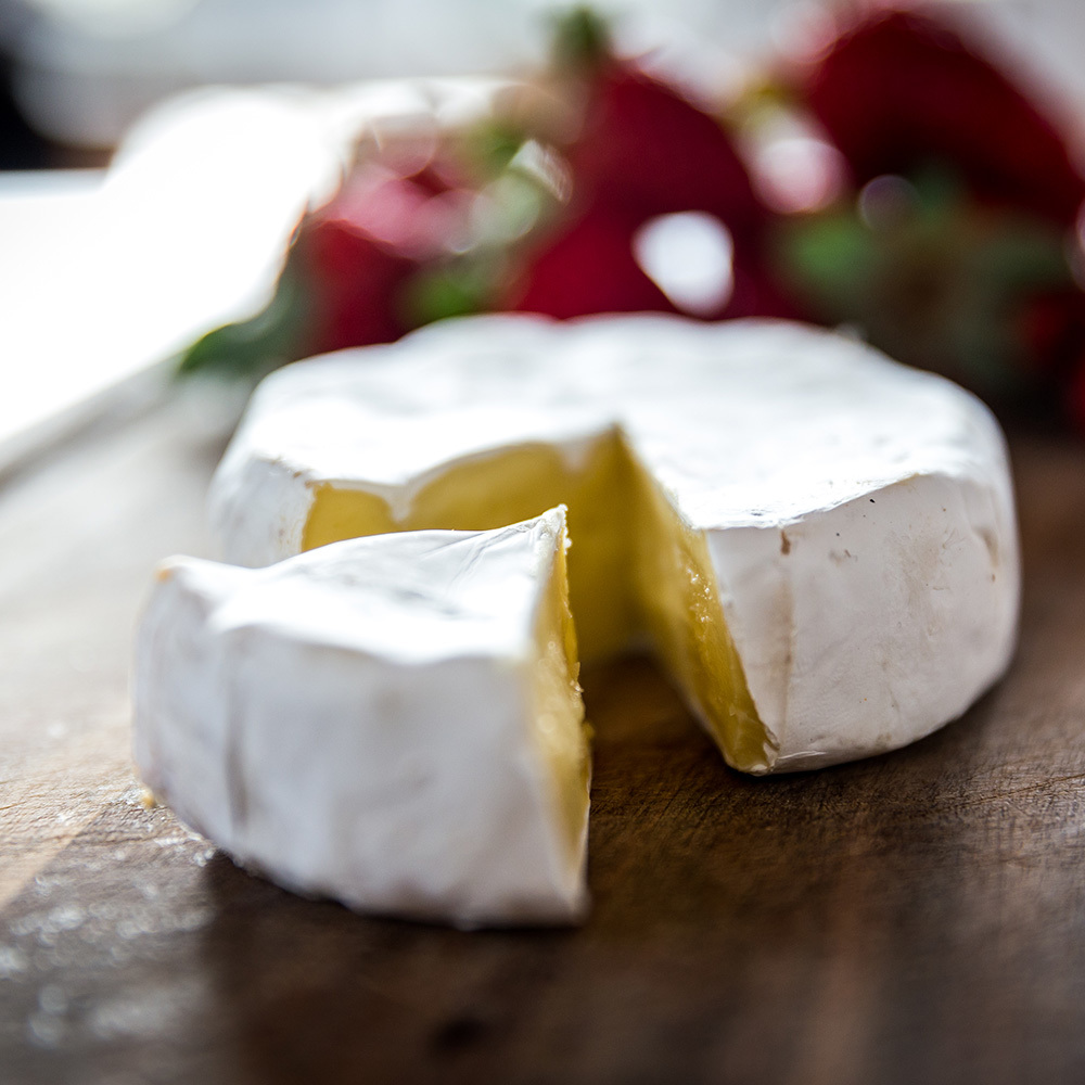 Mad Millie Artisan Cheese Kit at Mighty Ape Australia