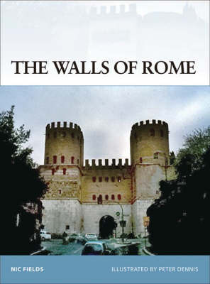 The Walls of Rome by Nic Fields image