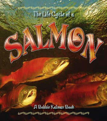 The Life Cycle of the Salmon by Kelley MacAuley image