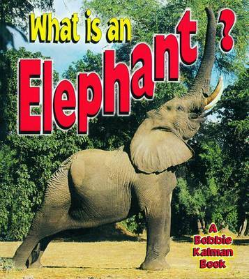 What is an Elephant? by John Crossingham image