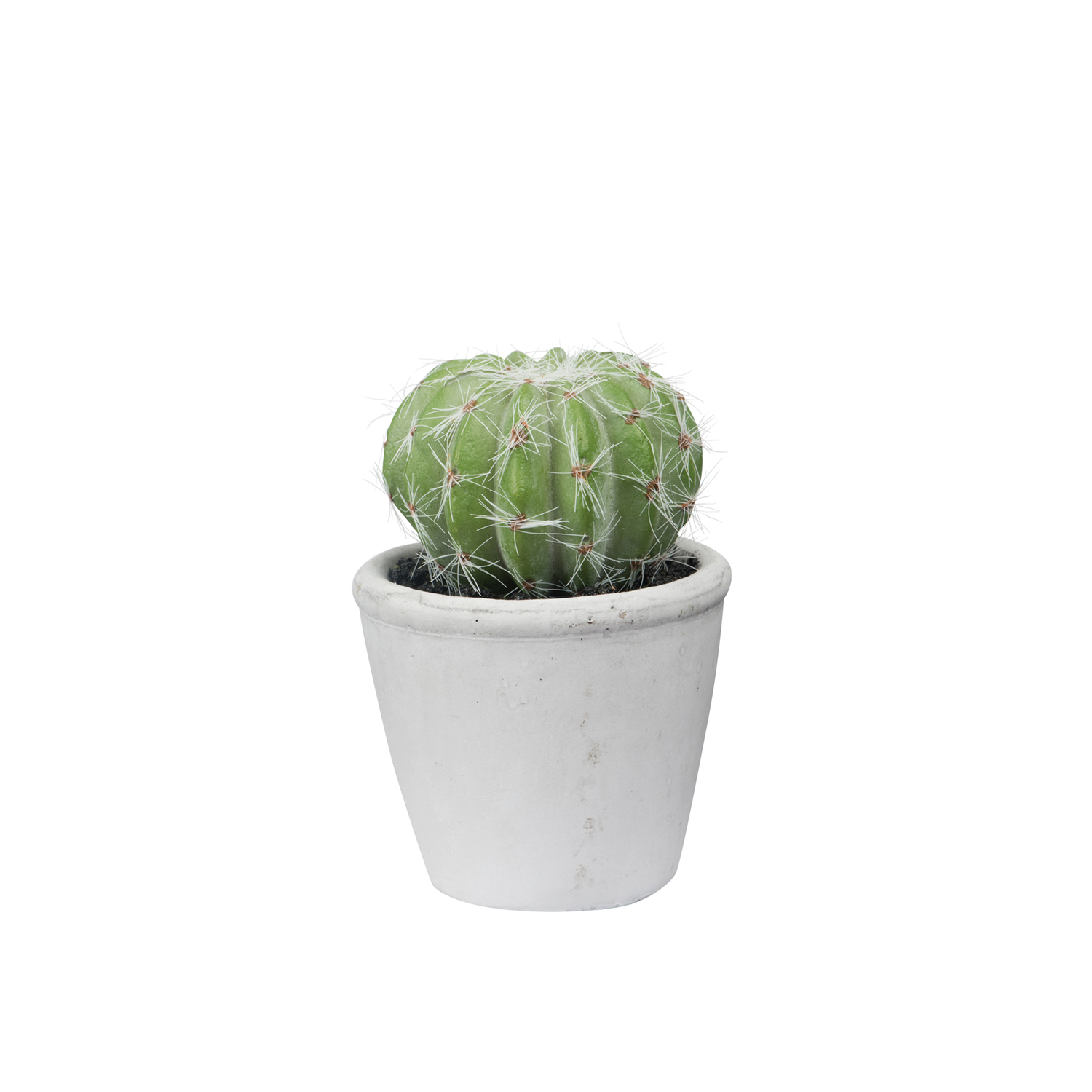 General Eclectic: Artificial Plant - Mini Barrel Cactus image