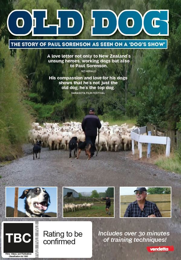 Old Dog on DVD image