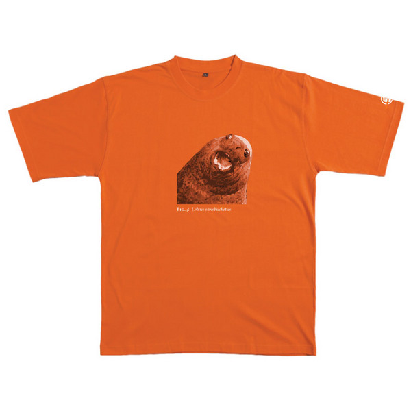 Lolrus Sansbucketus - Tshirt (Orange) for image