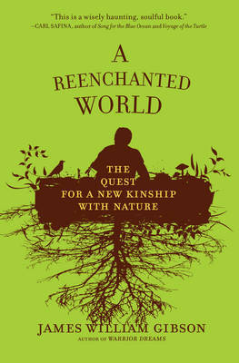 A Reenchanted World by James William Gibson image