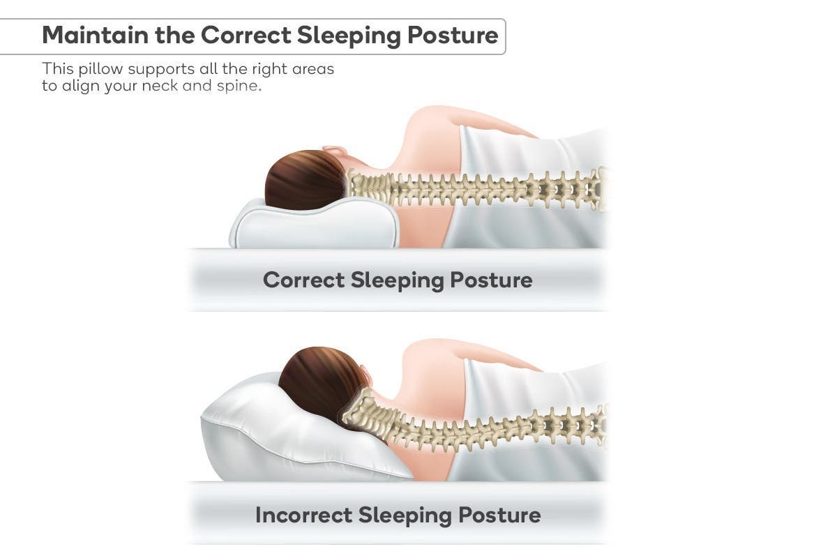 Ovela Ergonomic Cervical Neck Pillow for Snore Relief at Mighty Ape