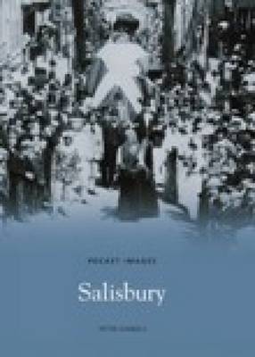 Salisbury by Peter Daniels image