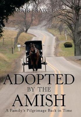 Adopted by the Amish by Bob Brawley image