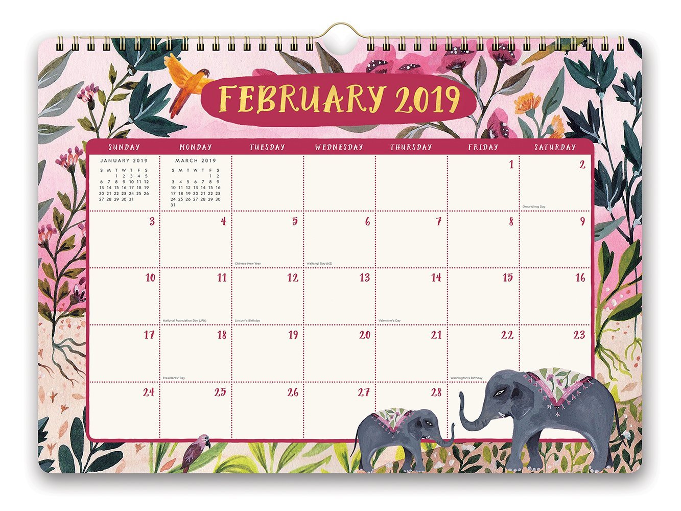 Sonia Cavallini: Stay Magical 2019 Wall Calendar