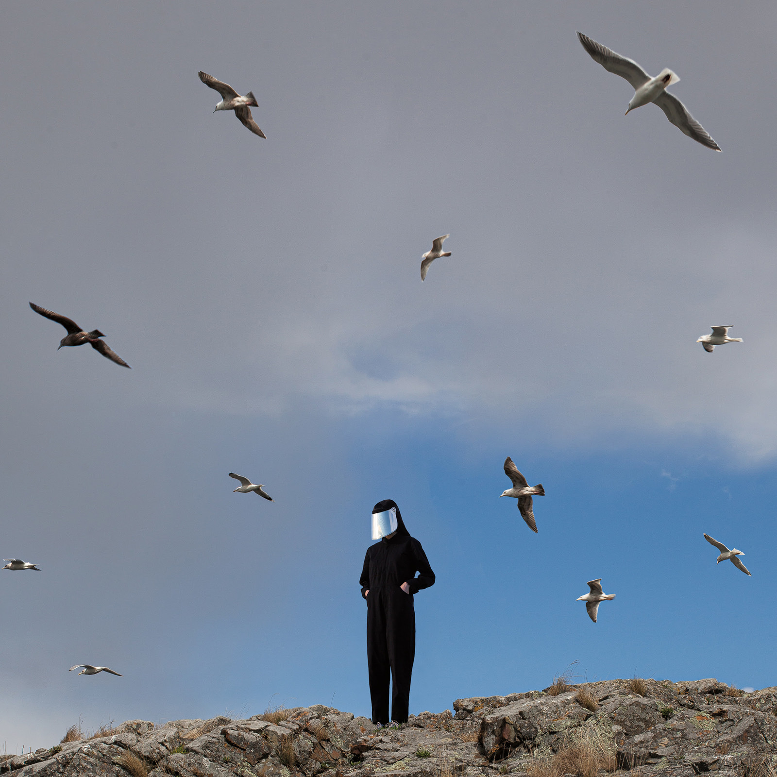 Remote by Hamerkop image