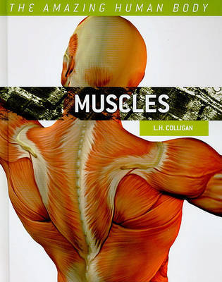 Muscles by L H Colligan image