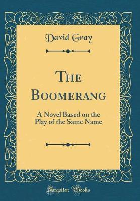 The Boomerang by David Gray image