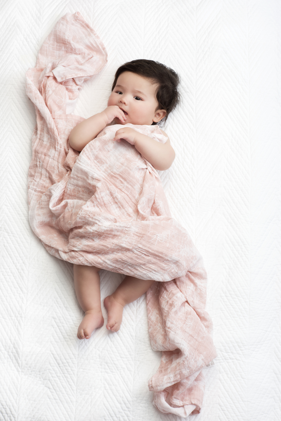 Aden + Anais: Classic Swaddle - Birdsong (4 Pack Swaddling Wraps) image