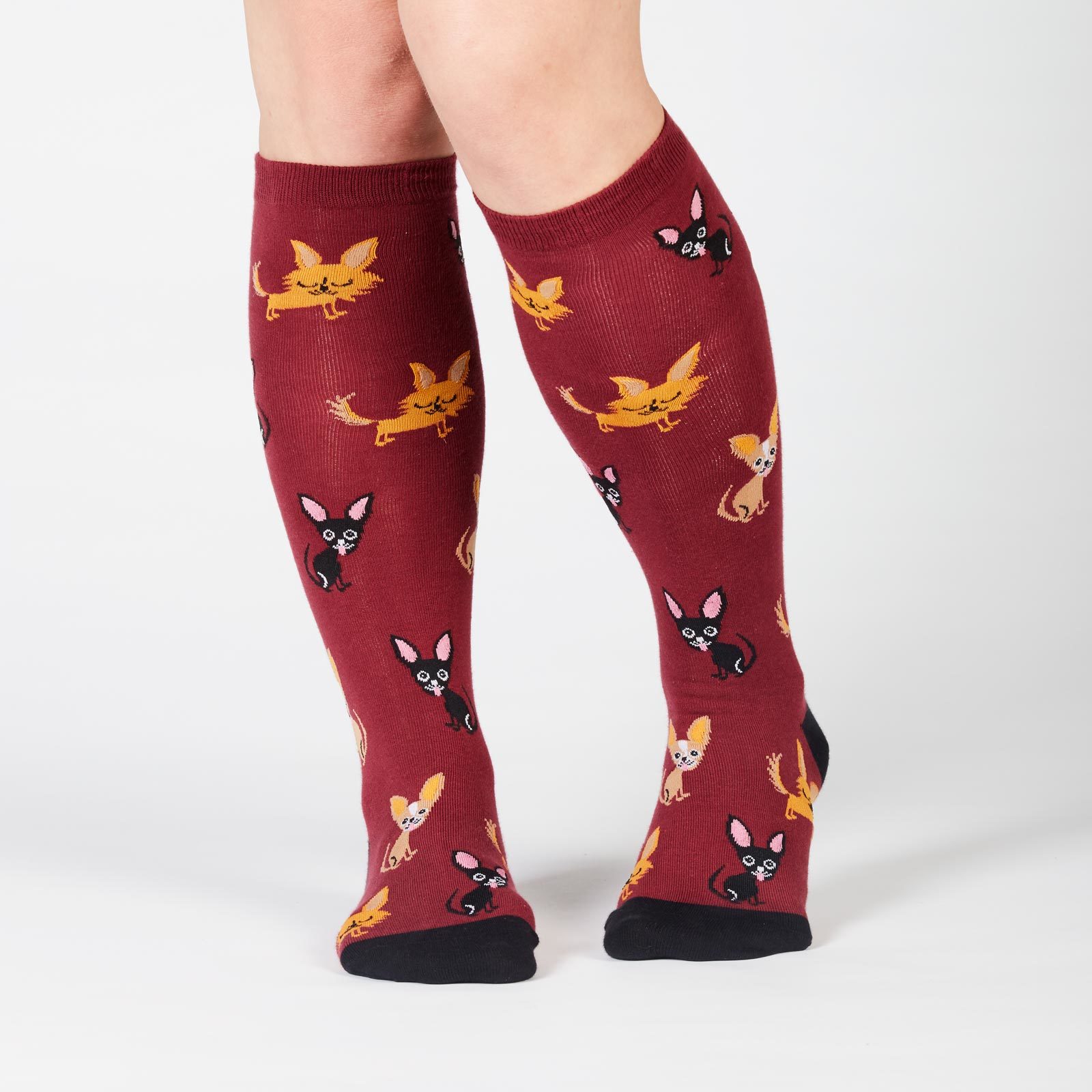 Women's - Chihuahua Knee High Socks image