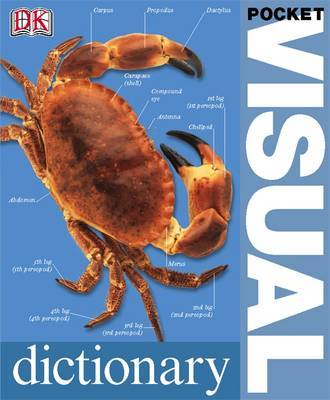 Pocket Visual Dictionary by DK image