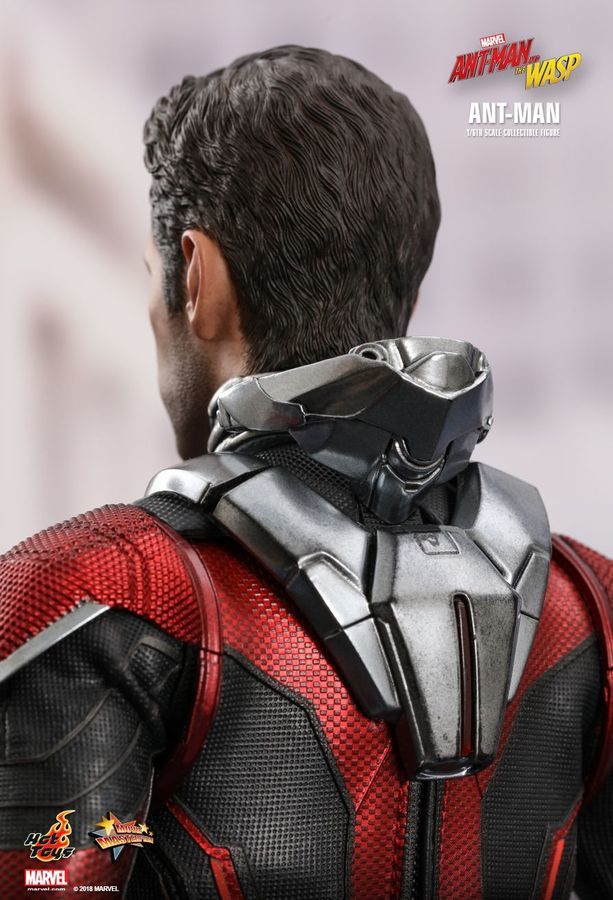 Marvel: Ant-Man (Antman & The Wasp) - 12" Articulated Figure image