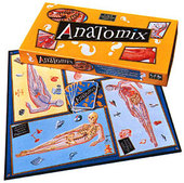 Anatomix