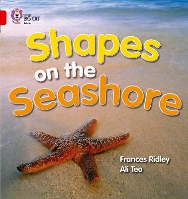 Shapes on the Seashore by Frances Ridley image
