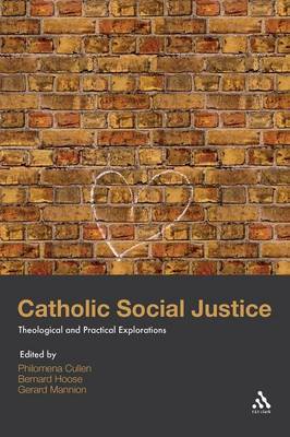 Catholic Social Justice image