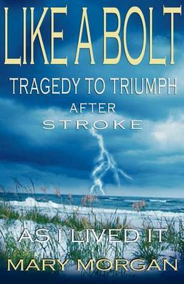 Like A Bolt by Mary Morgan image