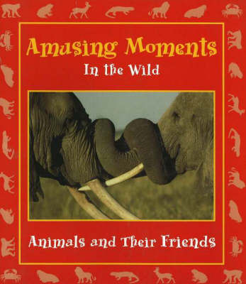 Amusing Moments in the Wild on Hardback by Stephanie Maze