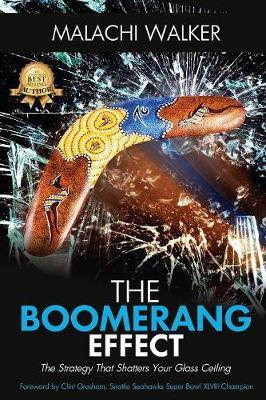 The Boomerang Effect by Walker Malachi image