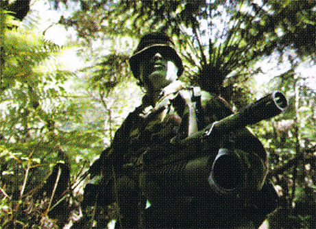 N.Z.S.A.S: First Among Equals on DVD image