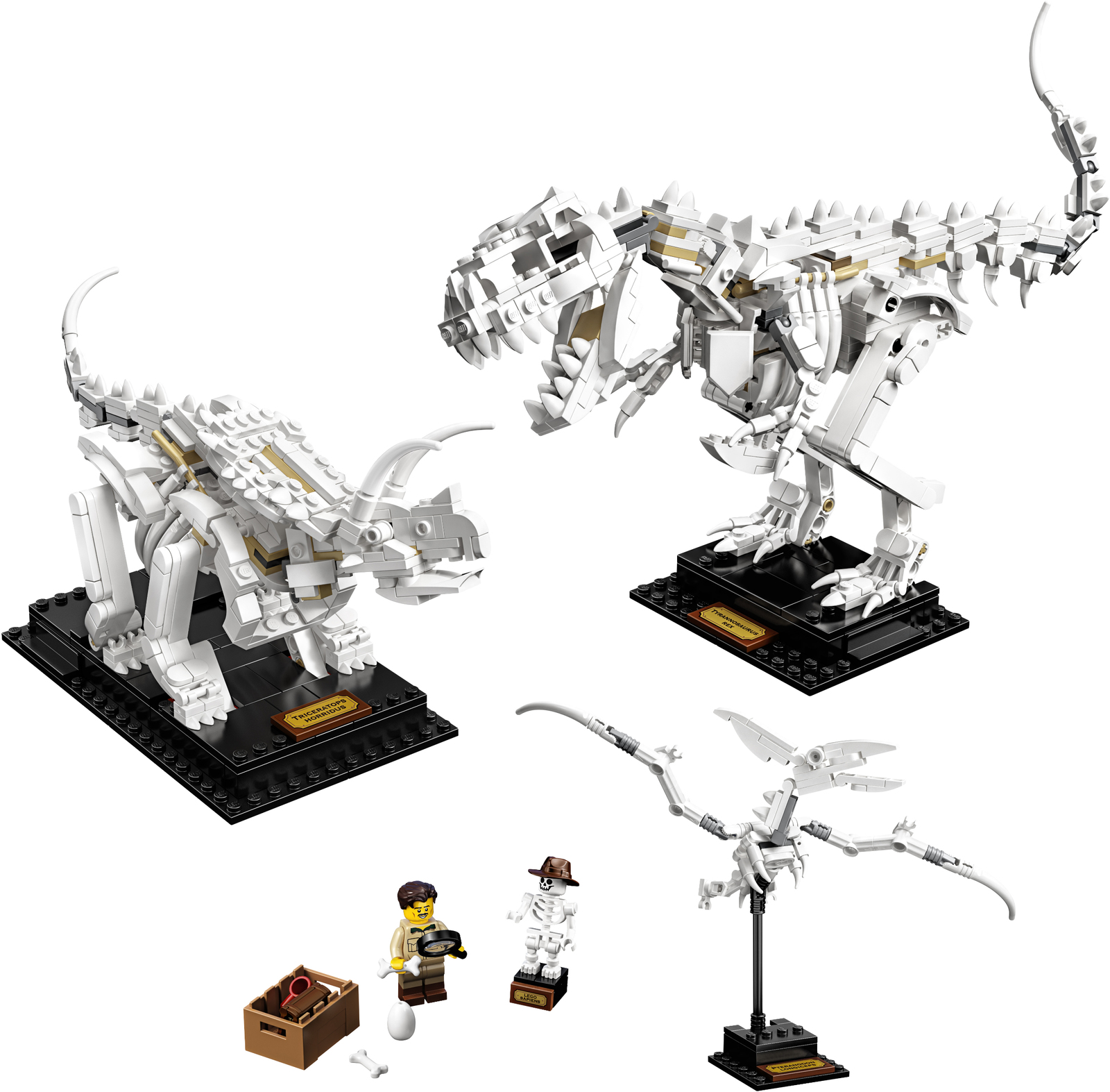 LEGO Ideas - Dinosaur Fossils image