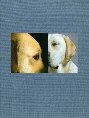 Puppies Behind Bars by Paul Solberg image
