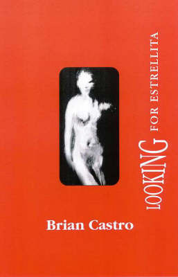 Looking For Estrellita by Brian Castro image